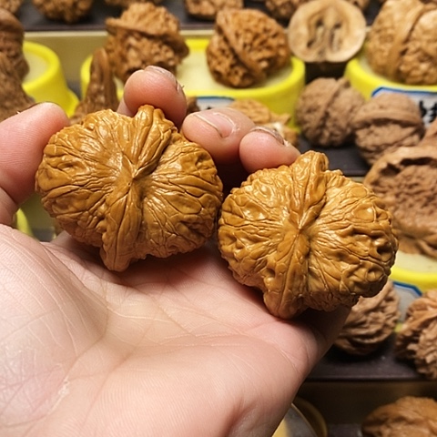 吊坠文玩核桃小****】元宝45