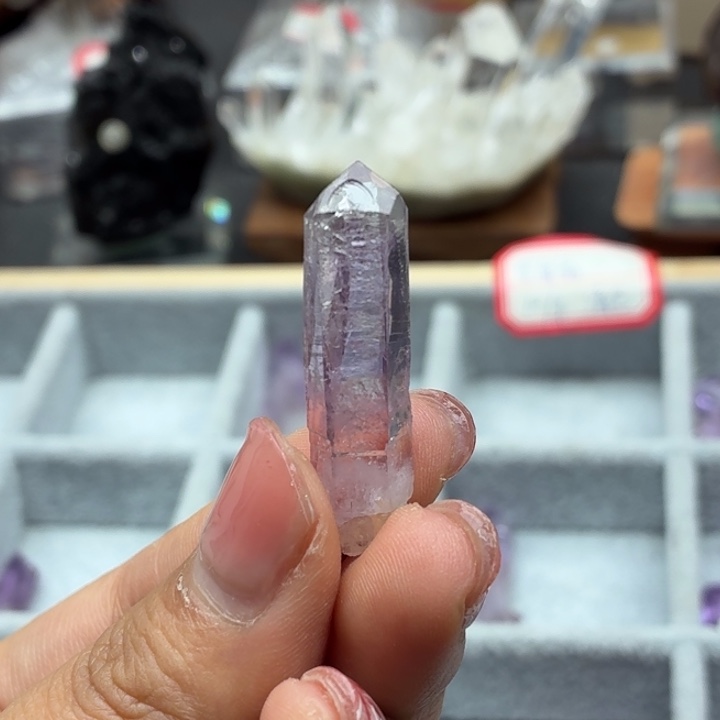 有机玻璃克鲁兹骸骨