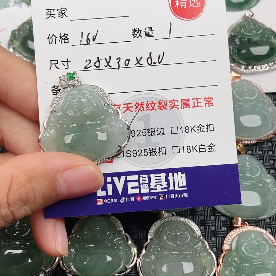 翡翠银S925镶嵌颈饰