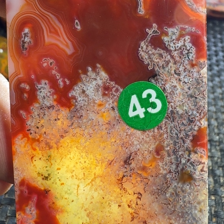 智***慧玛瑙/玉髓未镶嵌颈饰