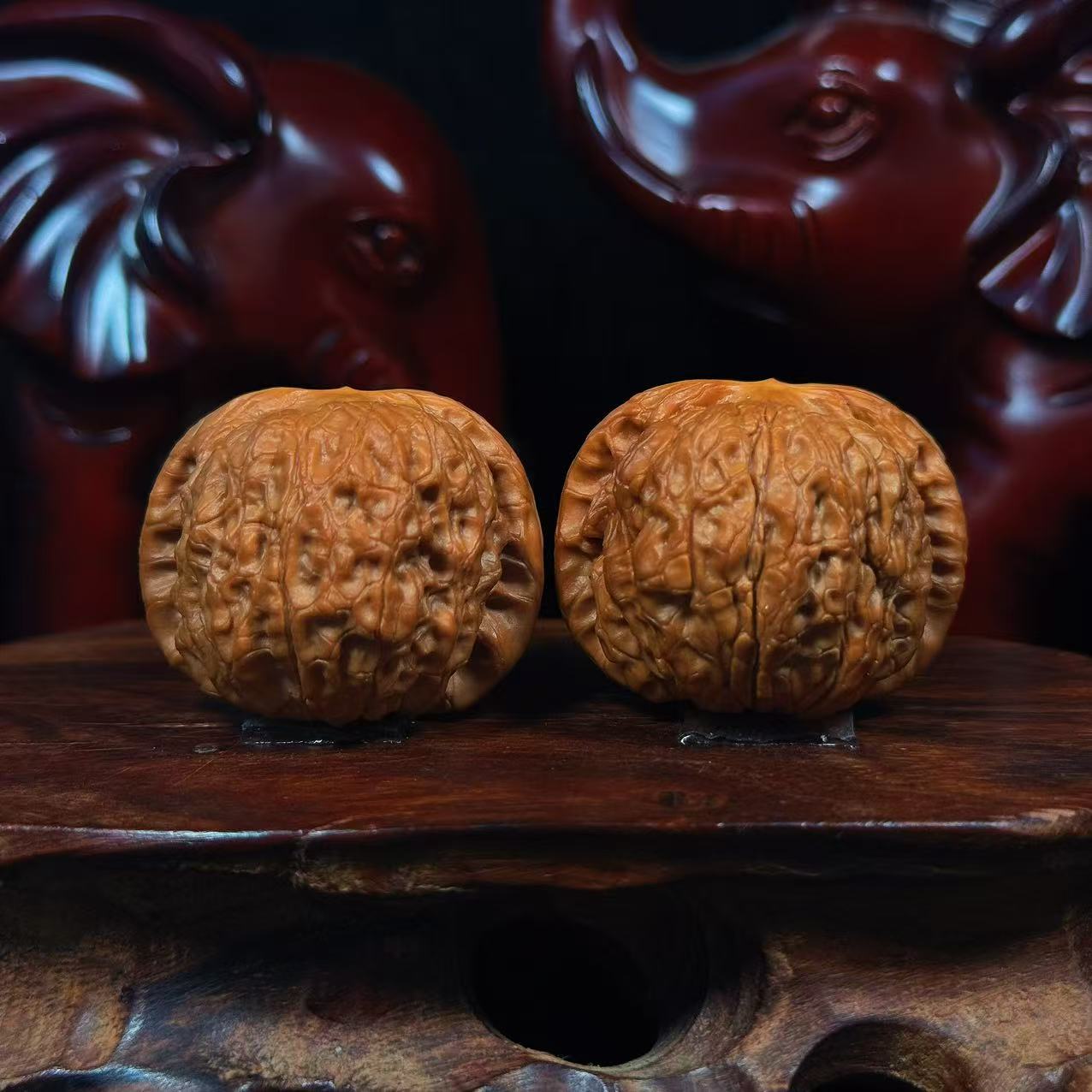 精品打底血麒麟--A020