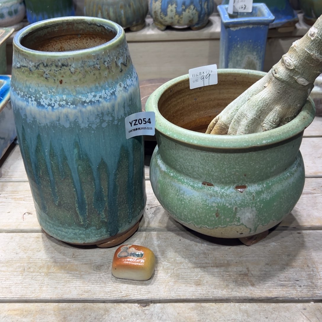 冬***五1987盆肉YZ054已配