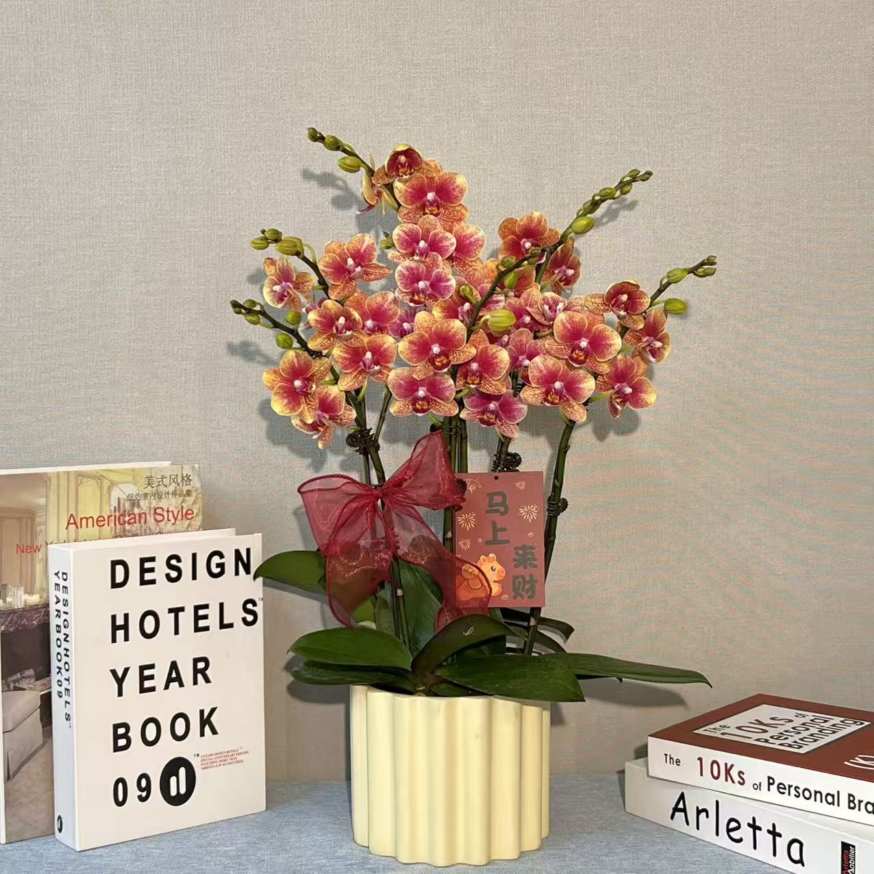 [金蝶]经典爆款喜庆橙红色系蝴蝶兰 长花期好养耐养 源头基地直发