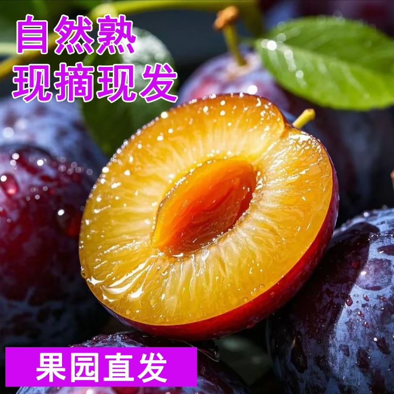新鲜应季现摘天水大西梅产地直发孕妇水果爆汁酸甜口