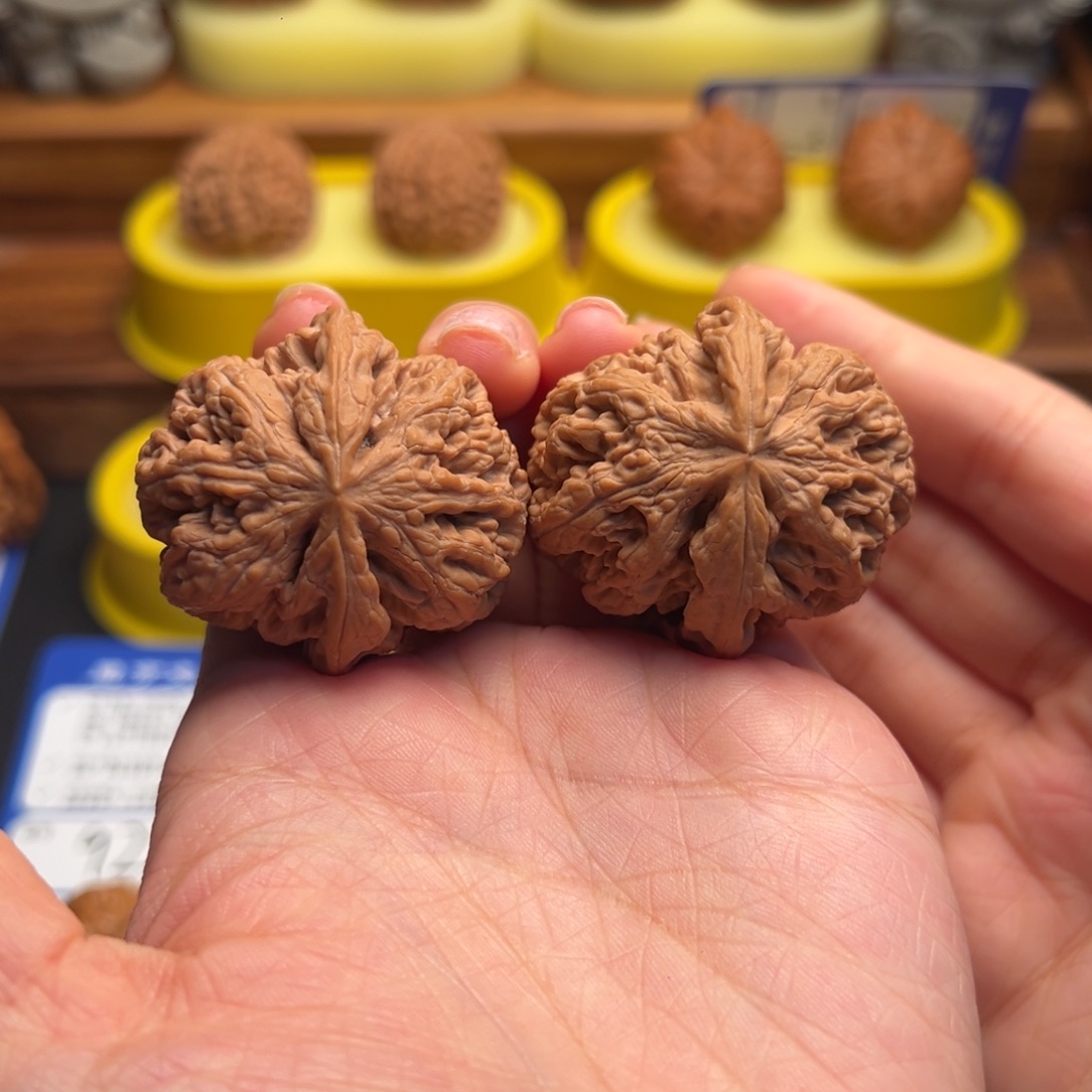 核桃08全品粗筋39尺