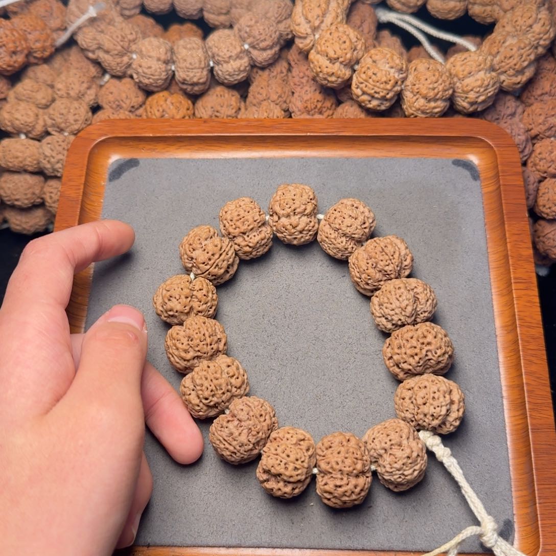 6号尼泊尔大金刚24粗筋梅花五龙