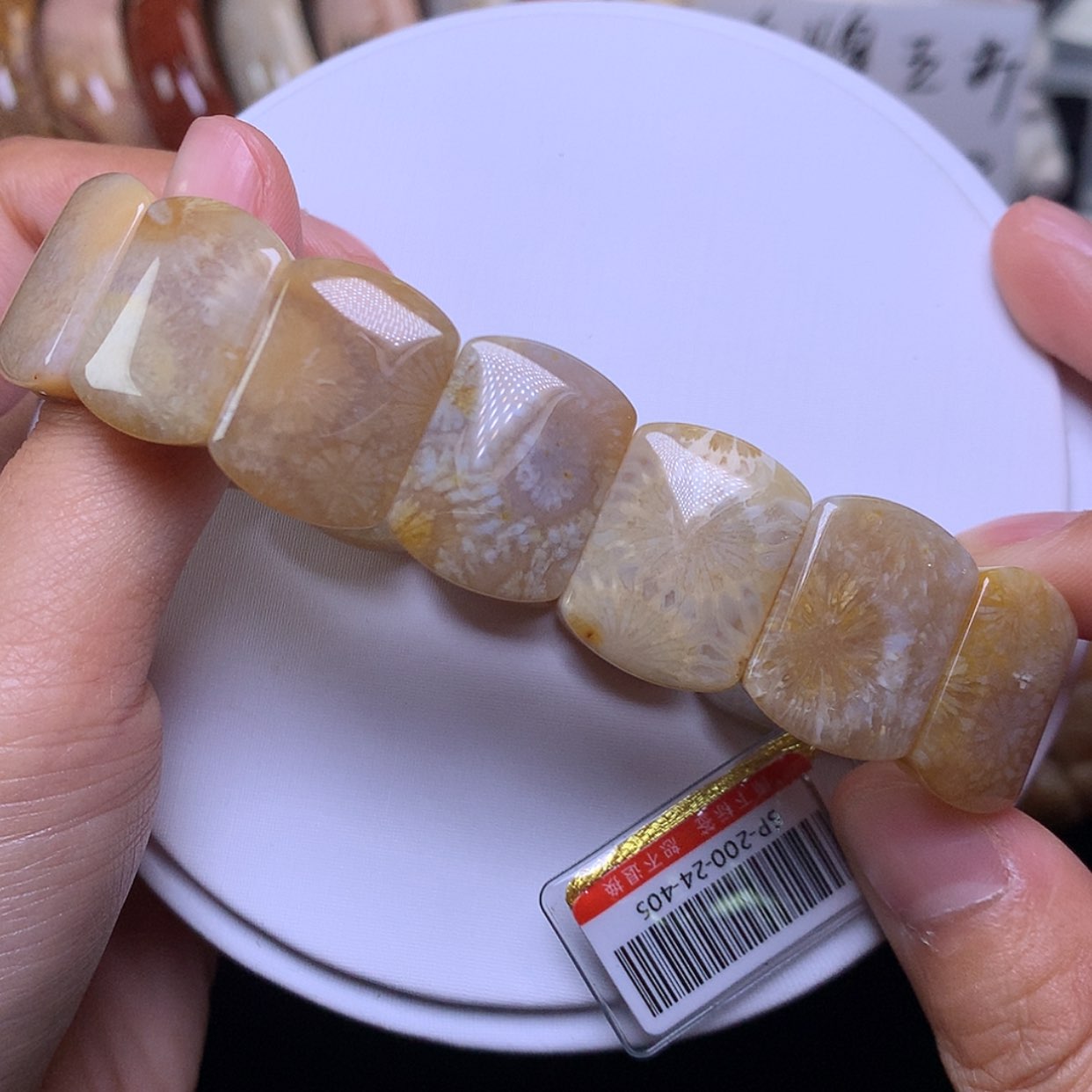 【闪购商品】硅化珊瑚（珊瑚玉）手链未镶嵌糖果绿大花手牌200漏100