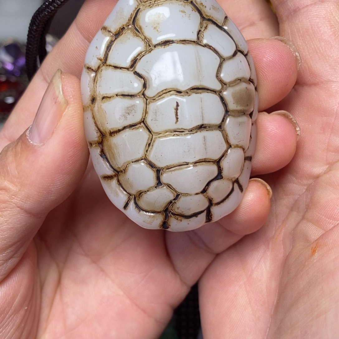 陶我要努力去争取我在努力实现这个世界有