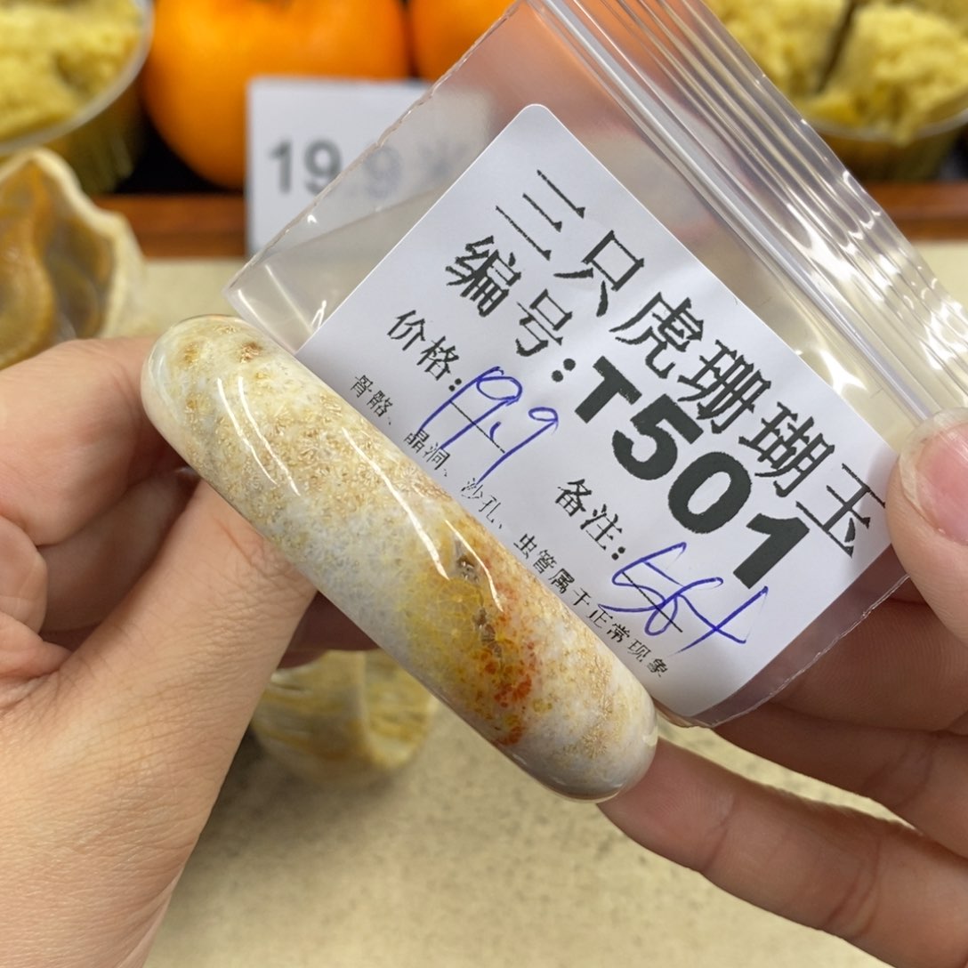 硅化珊瑚（珊瑚玉）1未镶嵌幻**巫