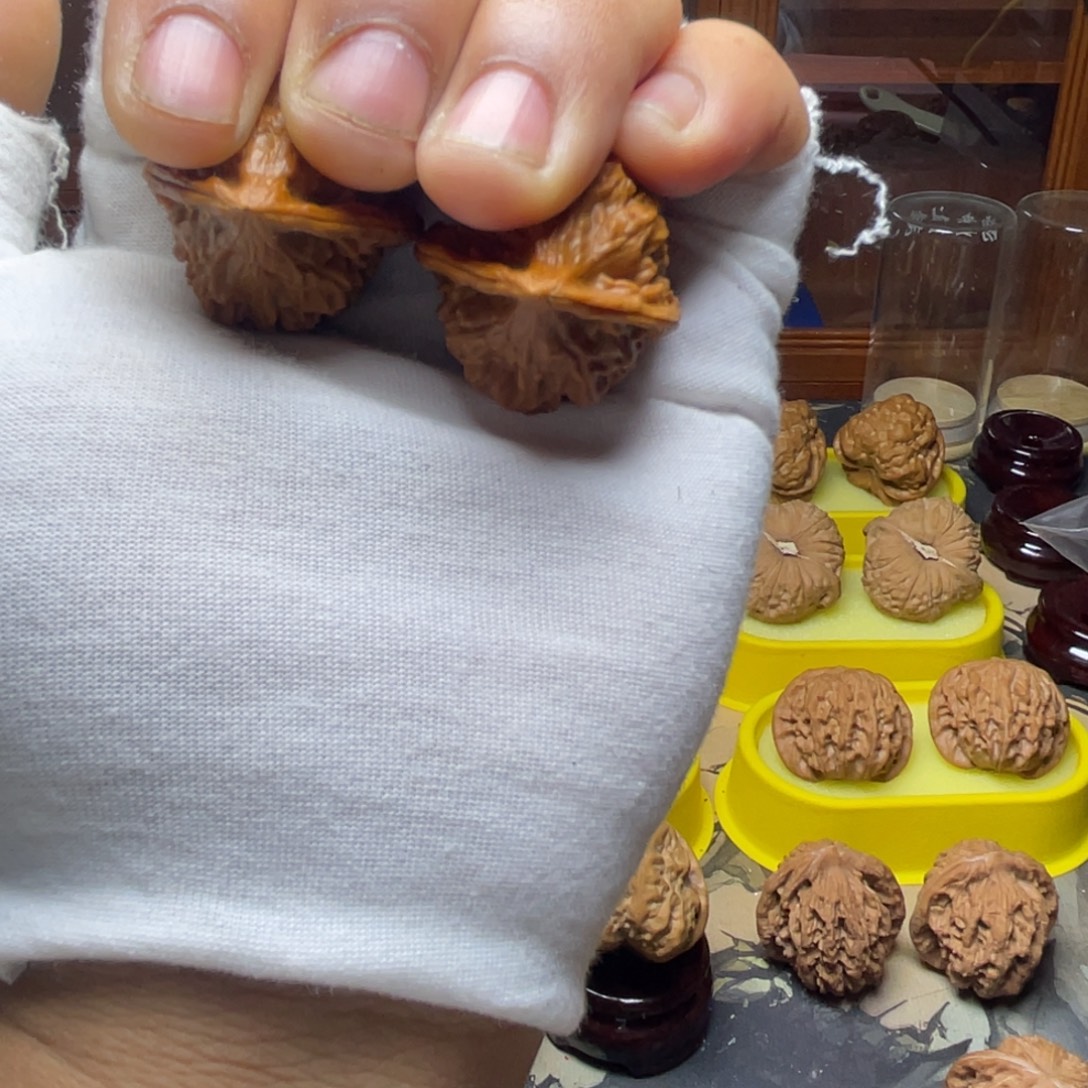 31独家虞鸡已手工打底