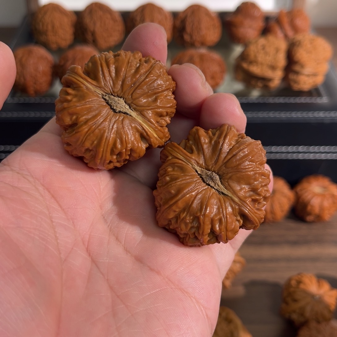 核桃手串/手链边40肚43全品球白凹底