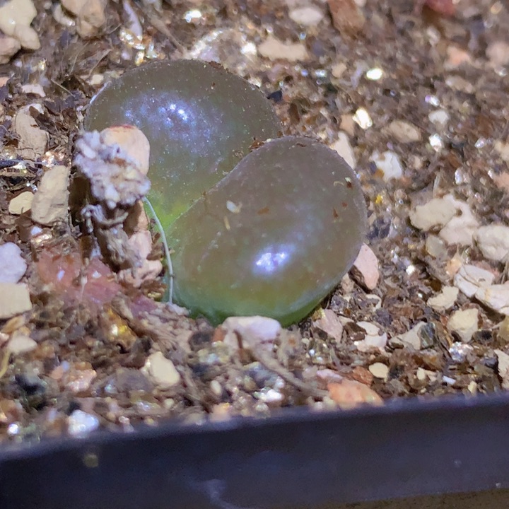 48968988888895555888557555