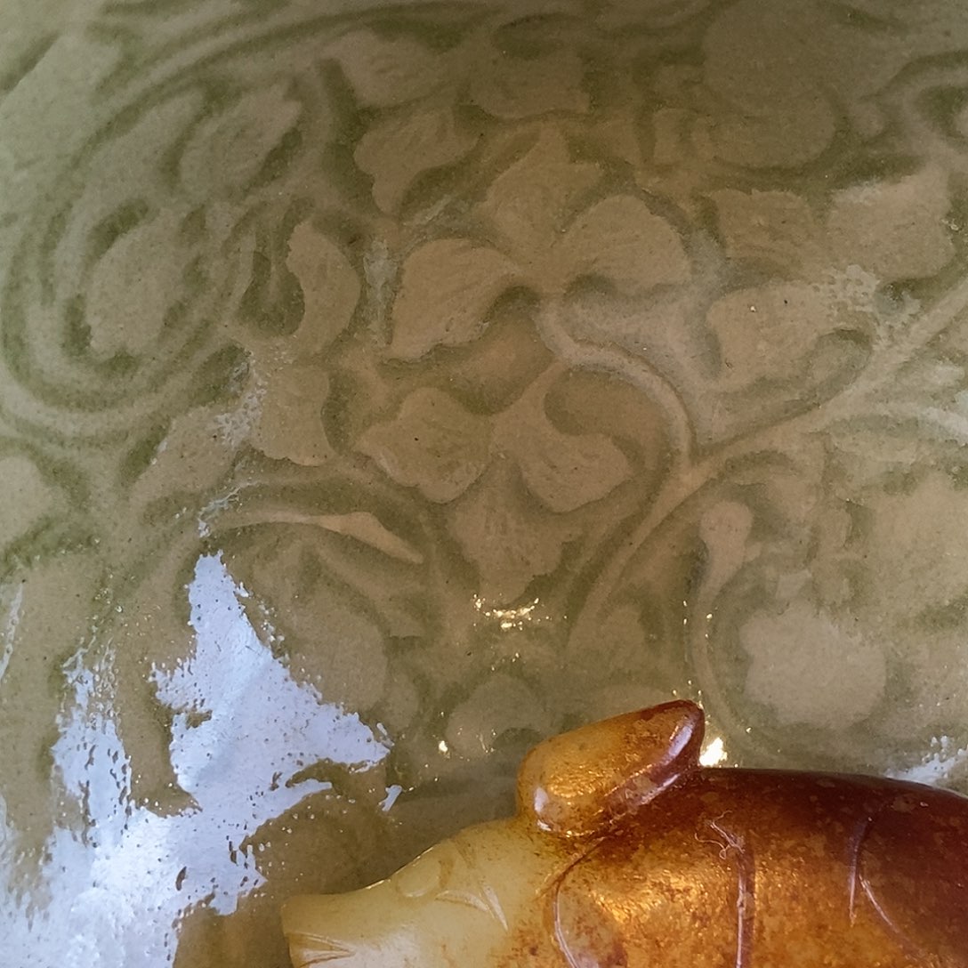 C****D小猪猪有米猪宝在