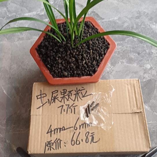 鸿***头兰菌黑山土虫屎颗粒7.7斤