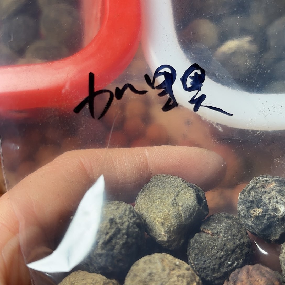 桃核吊坠加****o秦岭龙文桃宵15颗45米