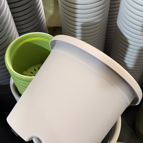 树脂四季2号灰白无托13个特价