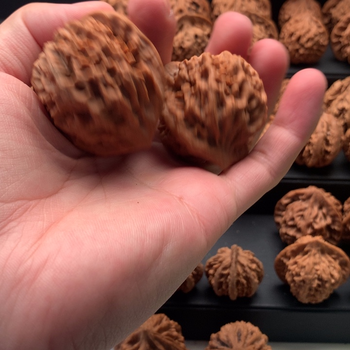 其他核桃辽**水秦岭山脉和黄土高原