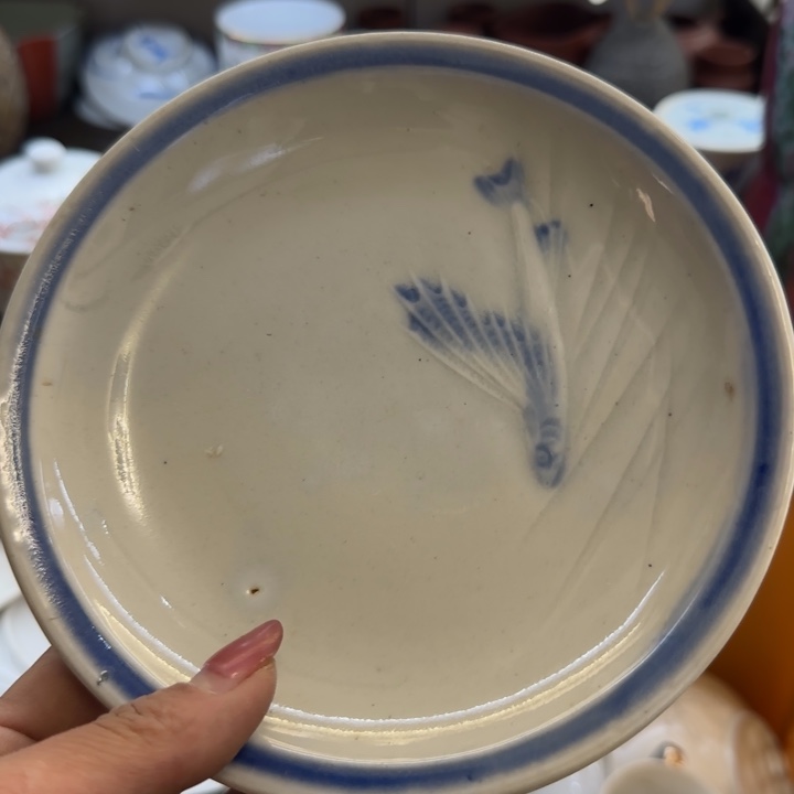 灰***飞瓷片一物一拍感谢支持