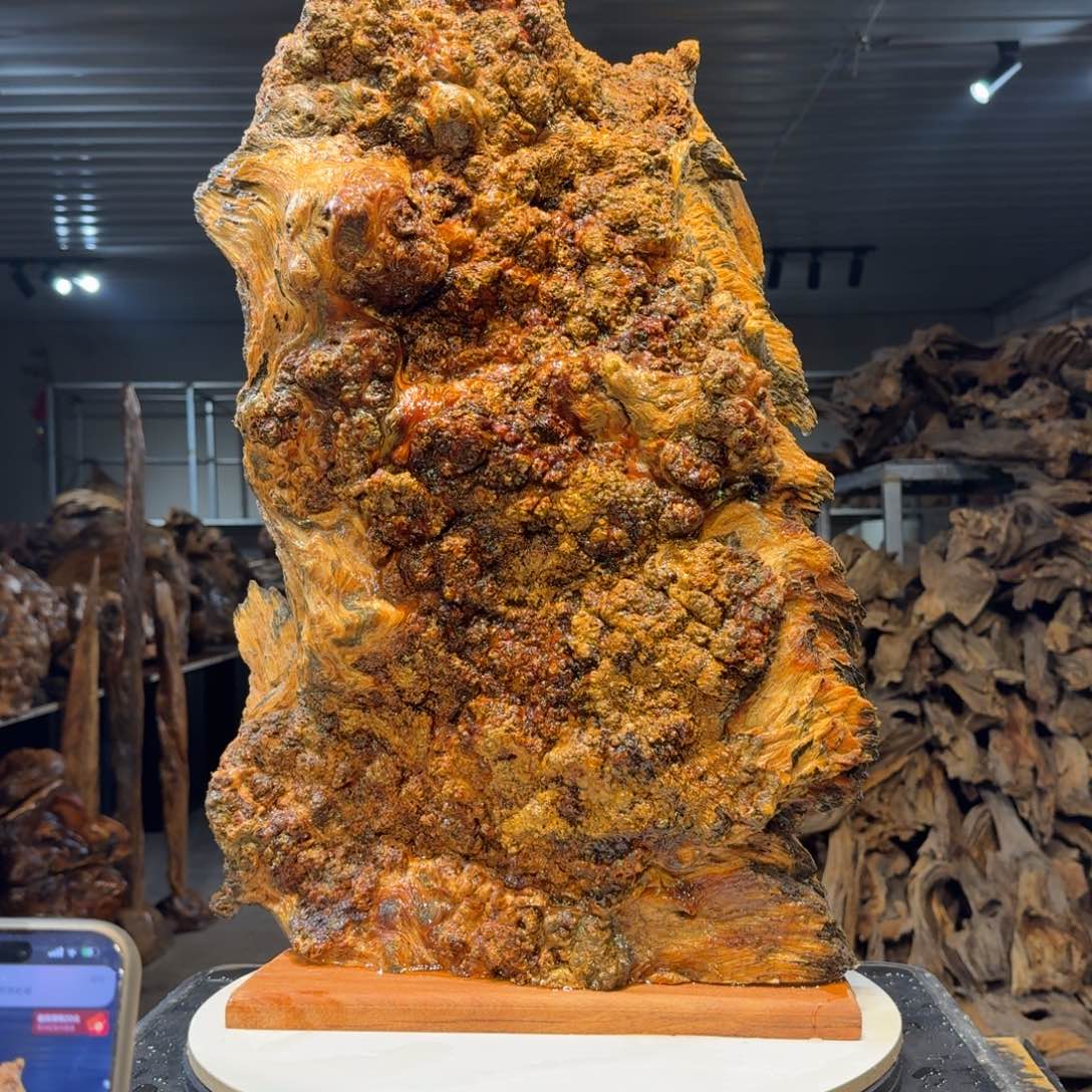 木神**木王一刀琥珀木28