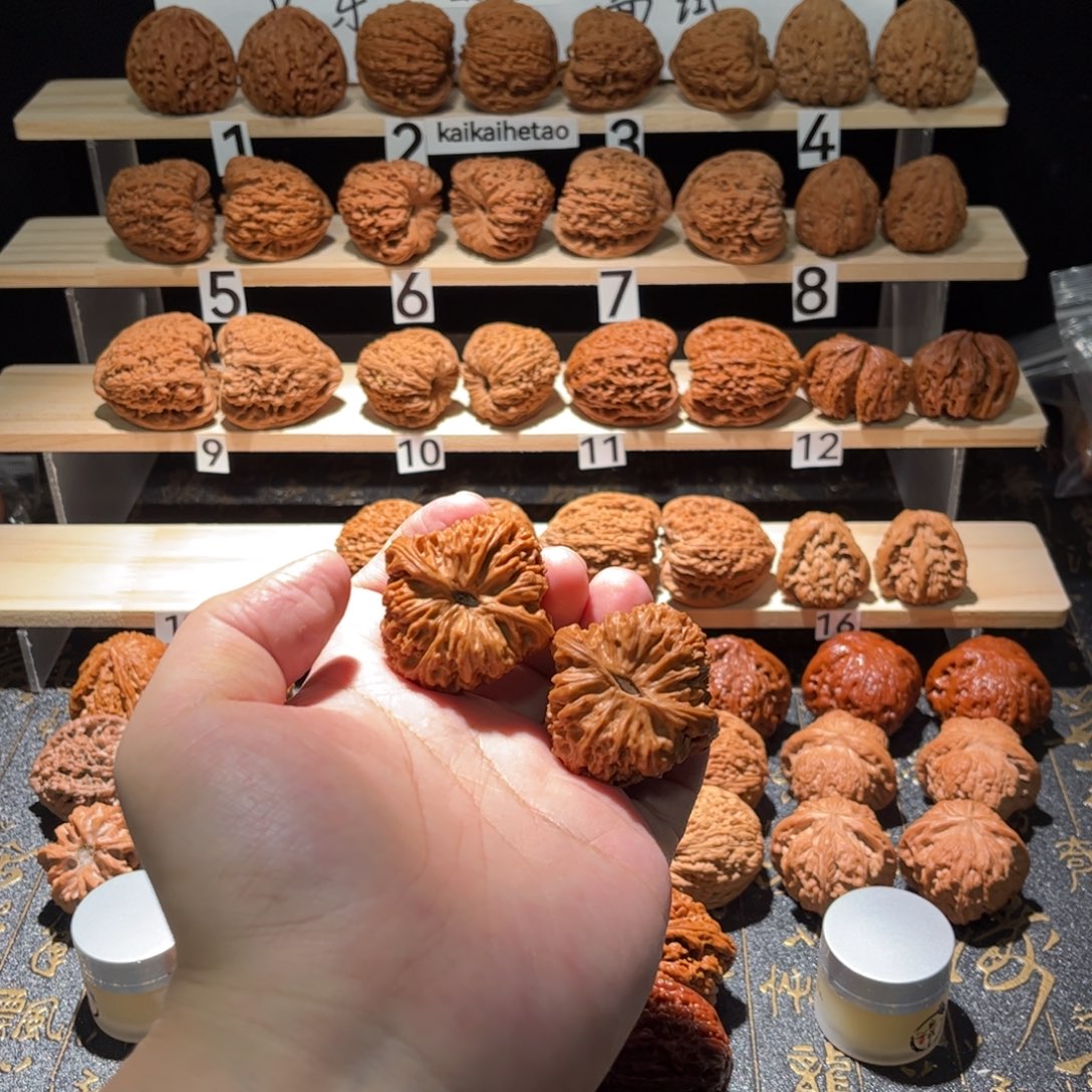 大叶紫檀（黑酸枝木类）