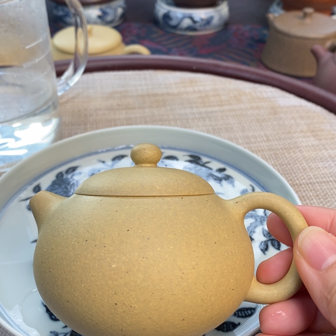 紫砂茶壶紫砂壶本绿西施11111