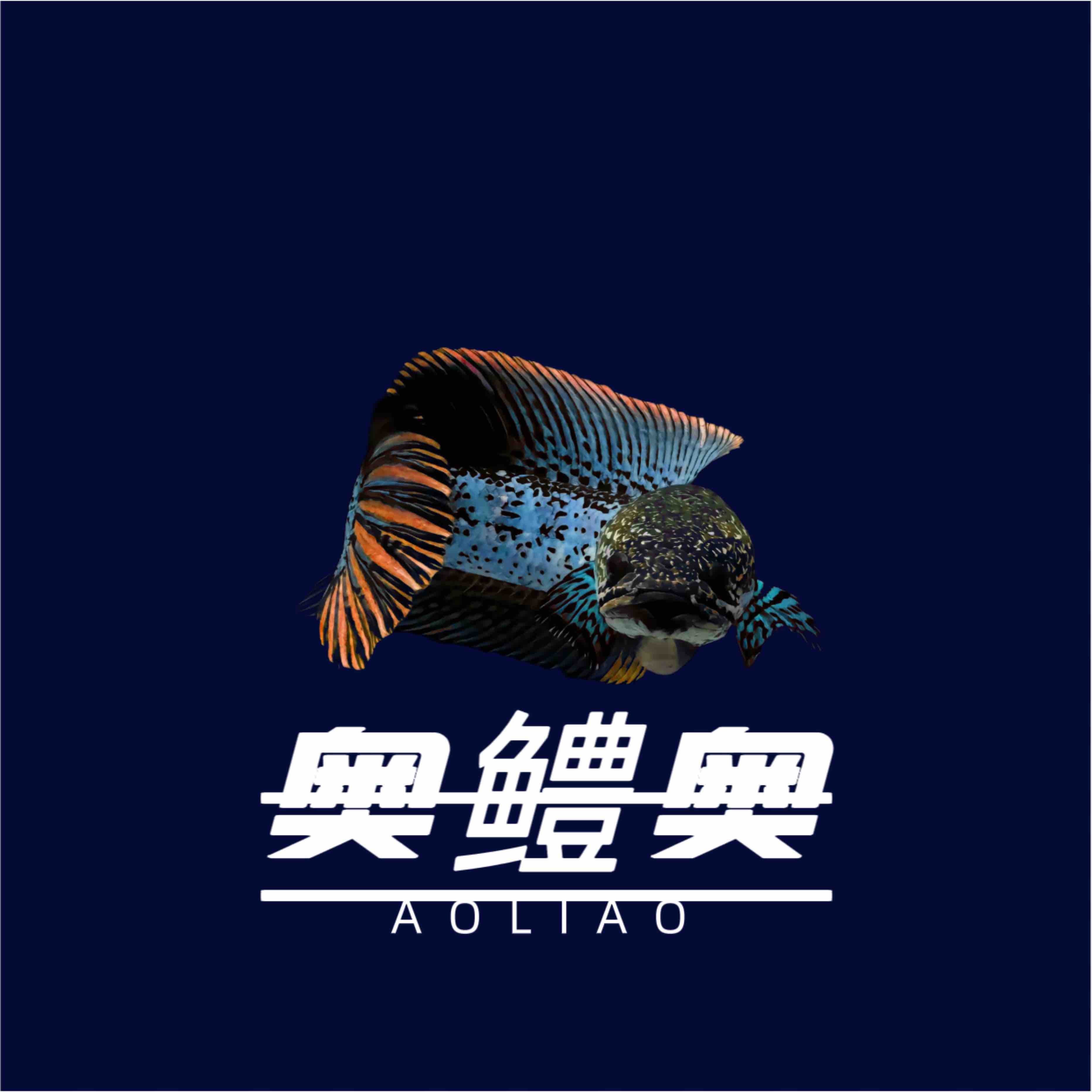 直播雷龙挑鱼链接，一鱼一拍