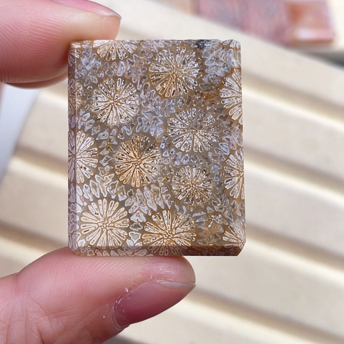 【闪购商品】硅化玉手链未镶嵌