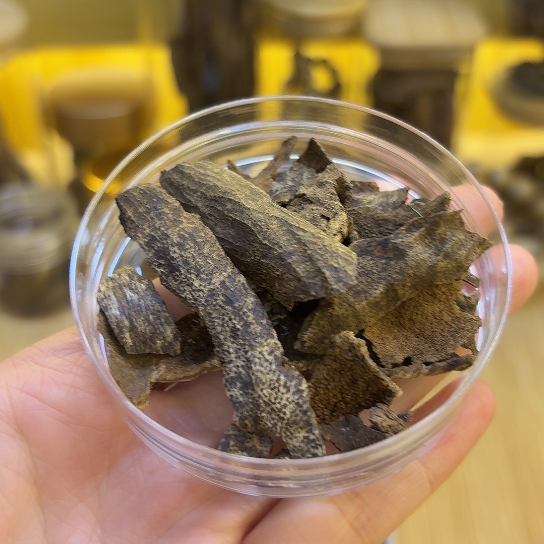 海南沉水鸡母虫漏5.49克