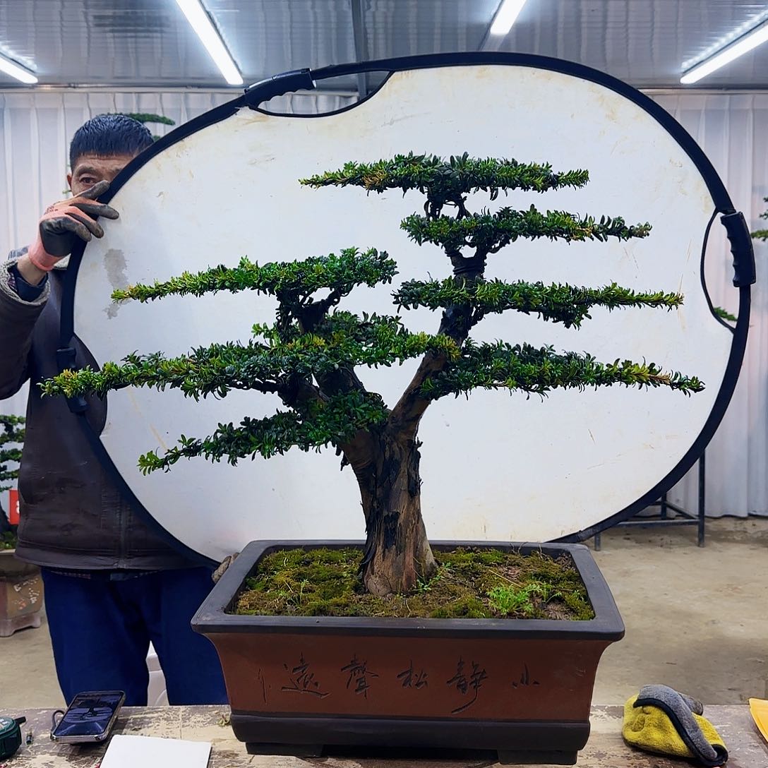 00000000000000000000