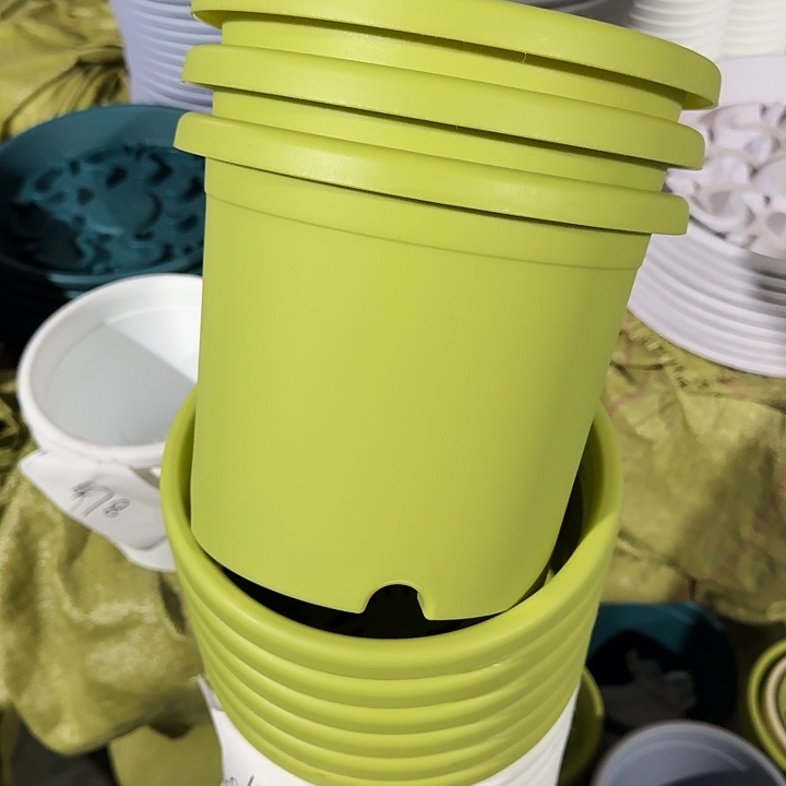 微瑕3#果绿10个无托