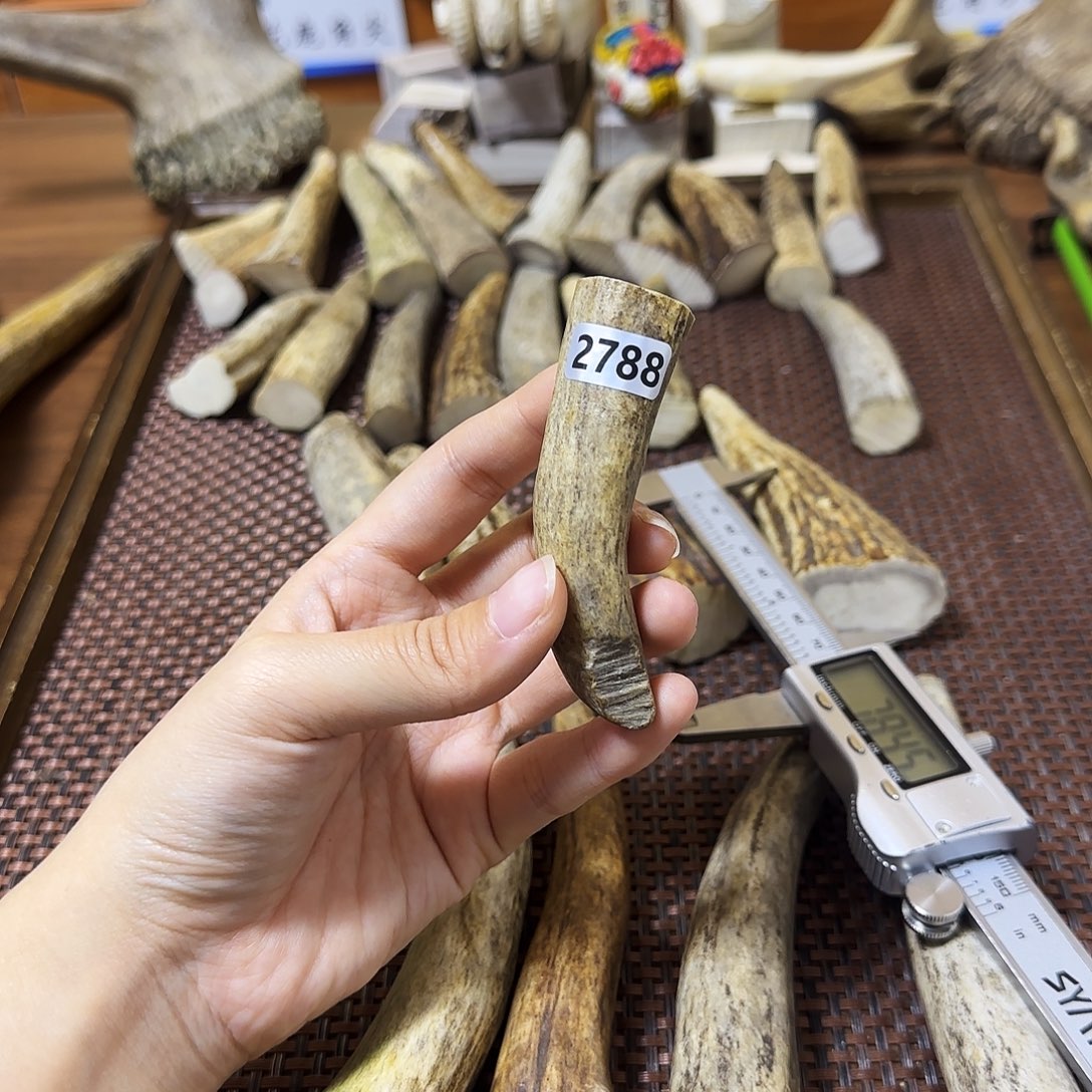 手串/手链鹿骨2788角尖