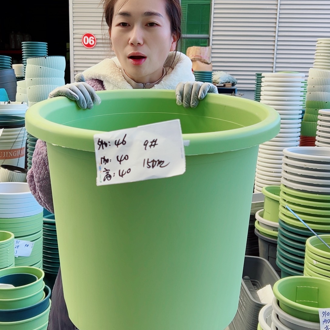 四季盆9#果绿4个无托