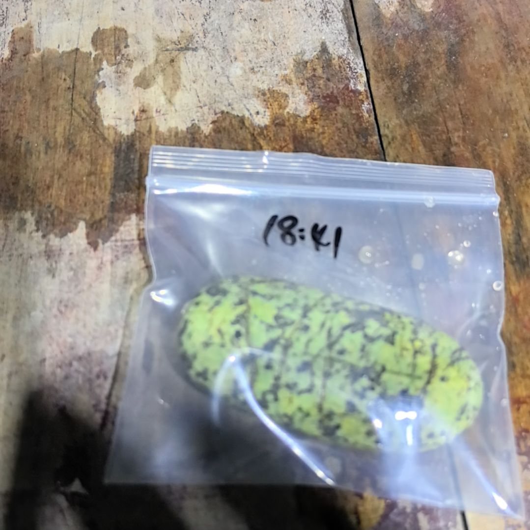 向***杉藏玉药王石原石一个摆件