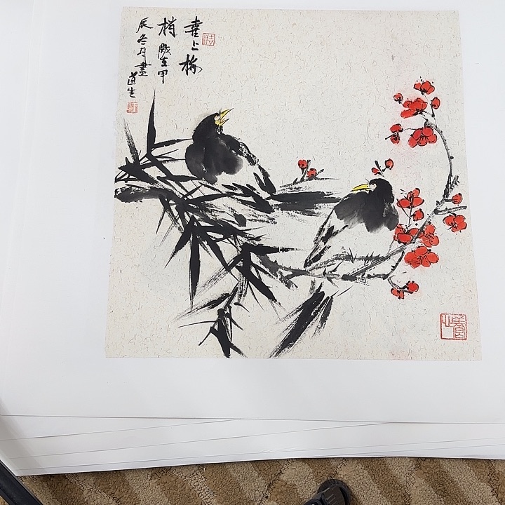 国画花鸟的翅膀和翅膀都是白色的羽毛