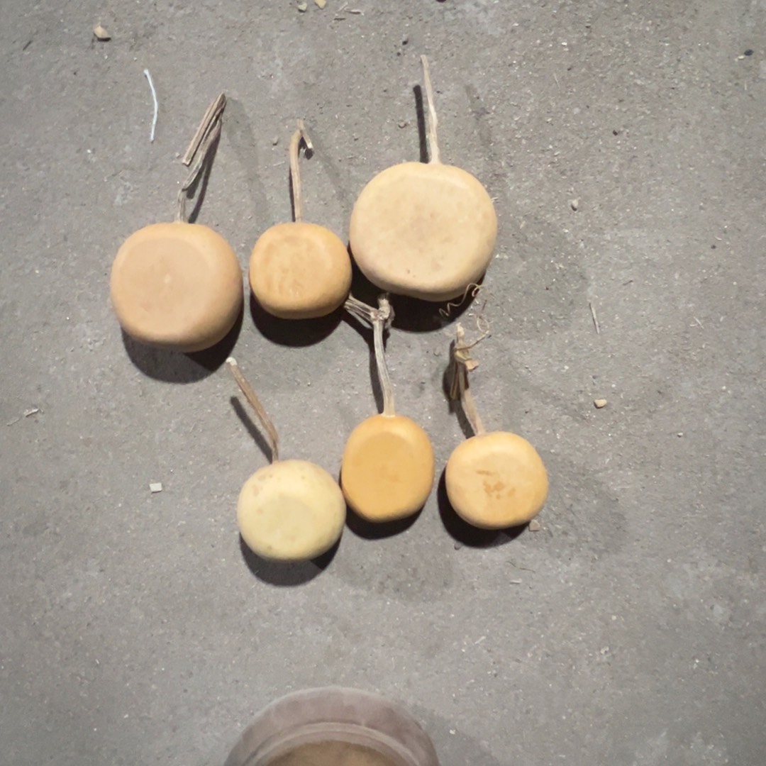 葫芦明轩葫芦嘎嘎