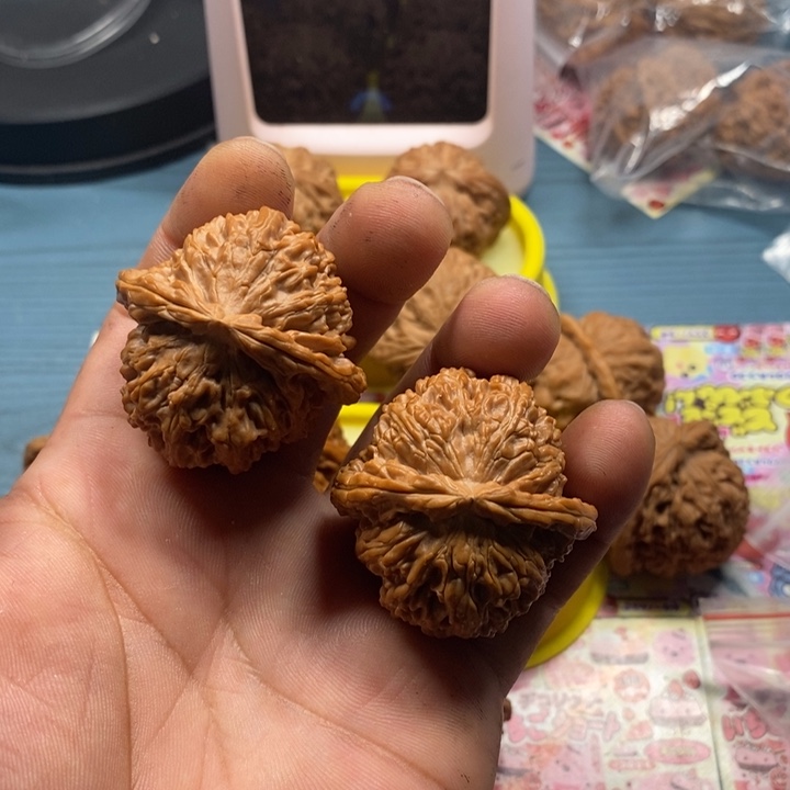 文玩核桃吊坠花****C41全品三角白