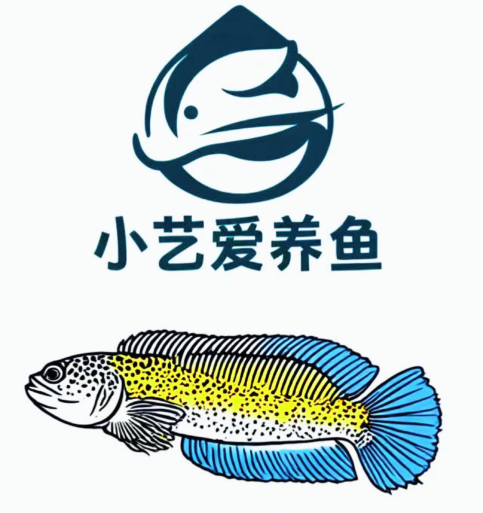 福袋专拍链接（寒冷地区带加热包）