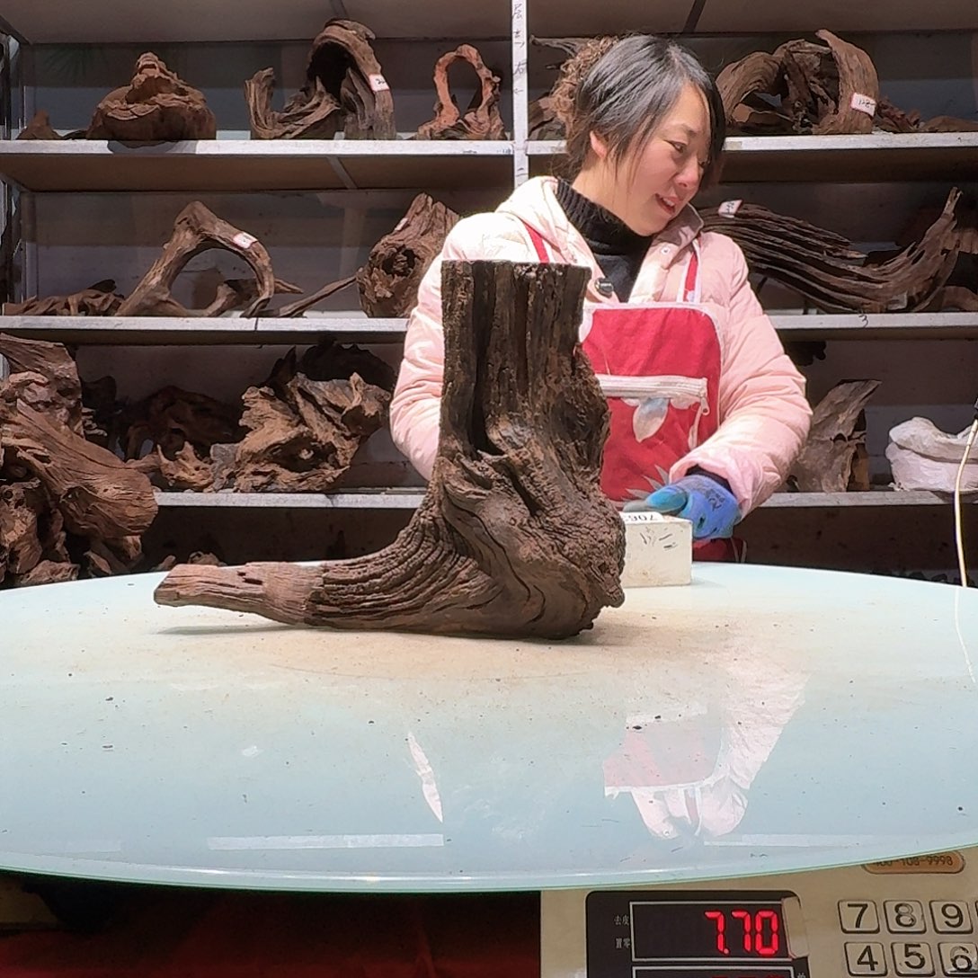 倍诸沉木不包损必褪色还**及7056