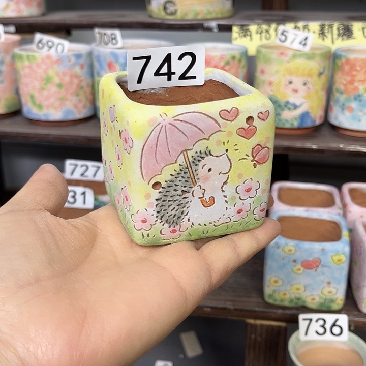 手工制作多肉花盆