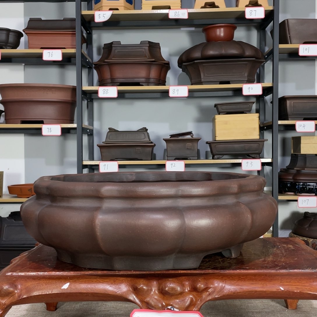 红陶56789688677887786