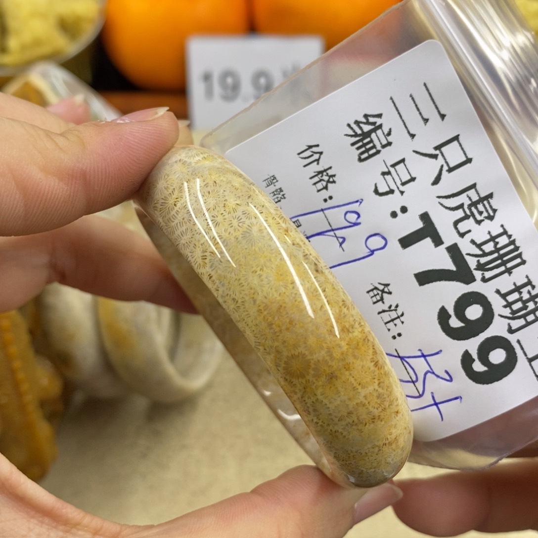 硅化珊瑚（珊瑚玉）1未镶嵌?****