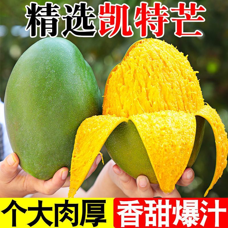 【越软越香甜】凯特芒正宗攀枝花当季新鲜孕妇水果凯特芒大芒果