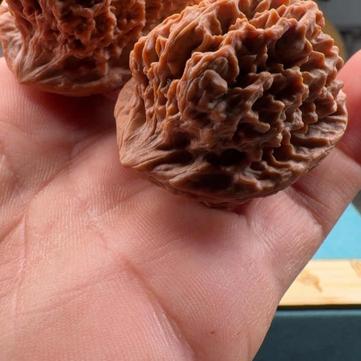 文玩核桃吊坠野生钻天燕子