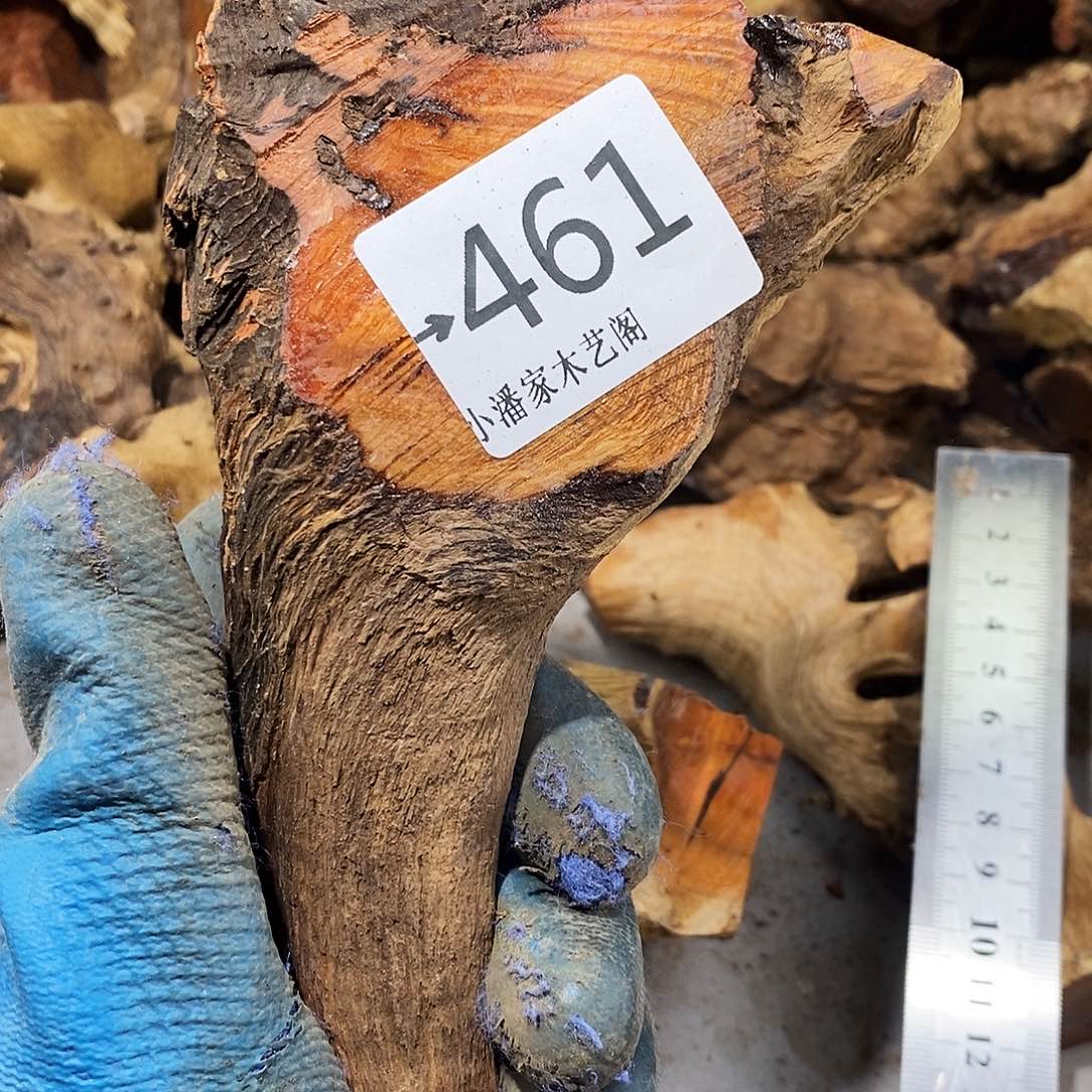 香榧木冬*火琉璃……火琉璃