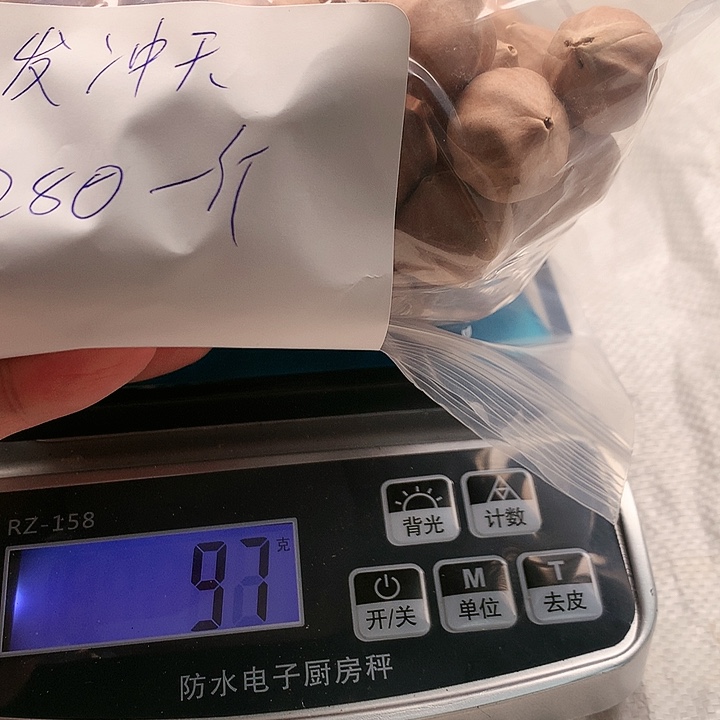 吊坠橄榄核一**天苏州橄榄核雕件