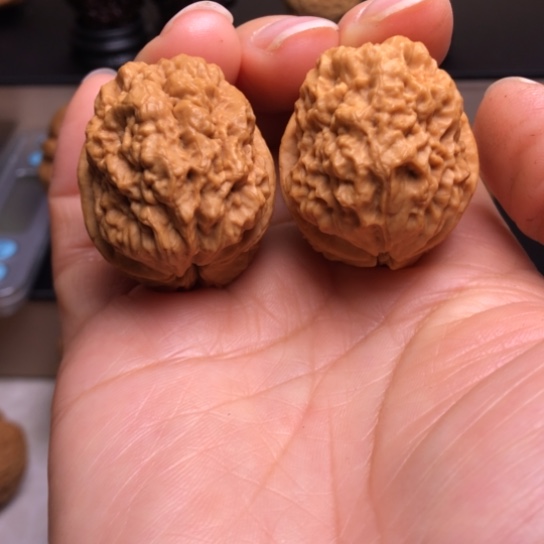 文玩核桃把件金麒麟12