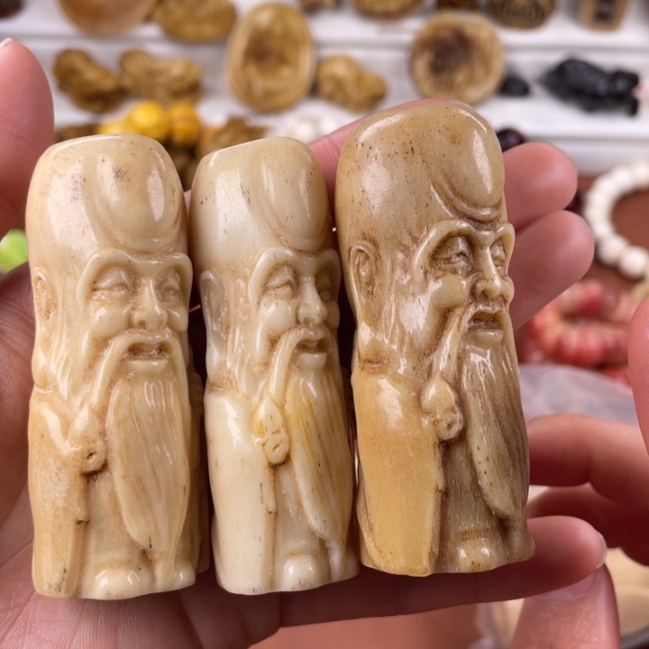 驼骨其他骆驼和雕刻