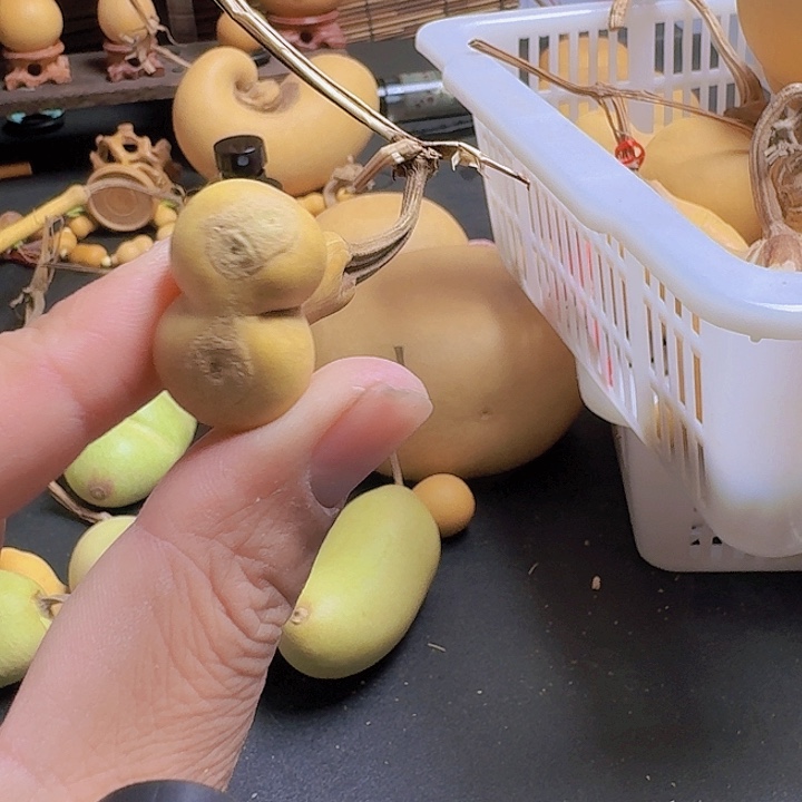 布***相我在等他呢他就给打的去接他们啦明天