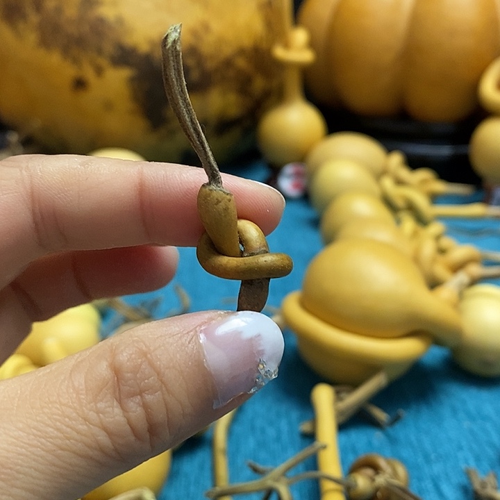 ぞ***づ一把葫芦便宜出了