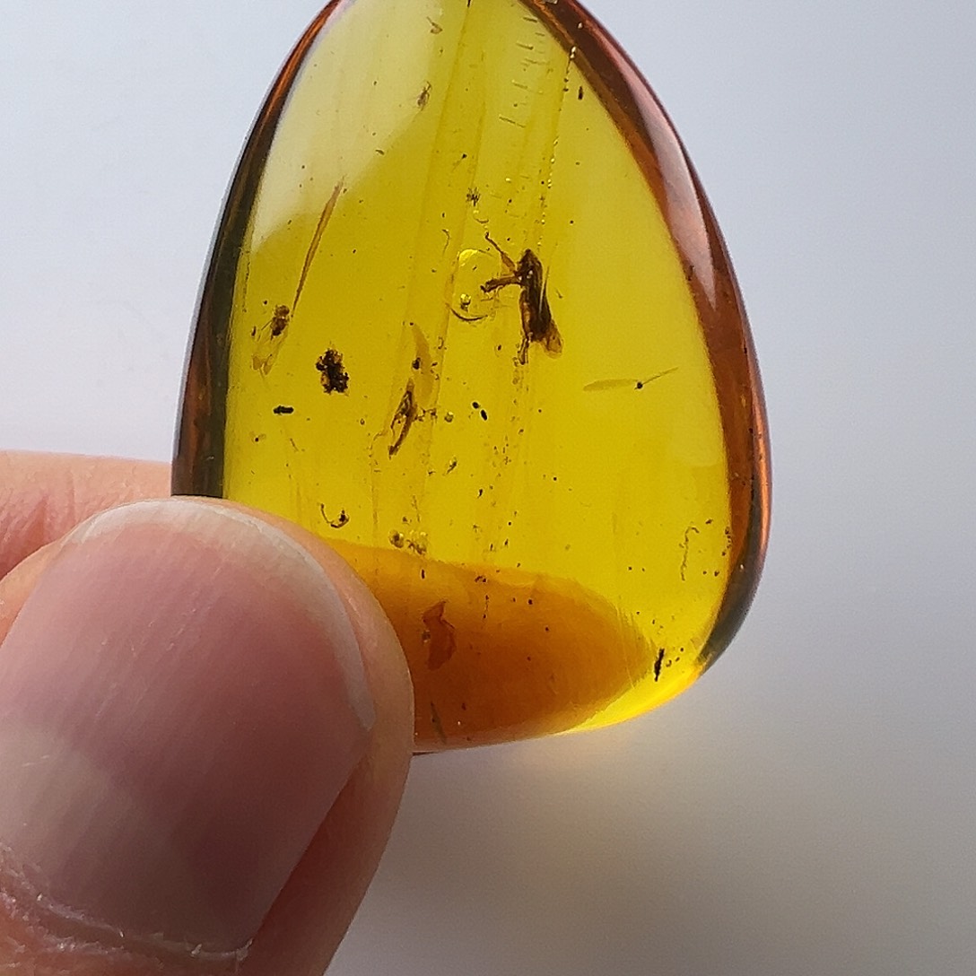 琥珀裸石未镶嵌琥珀虫珀